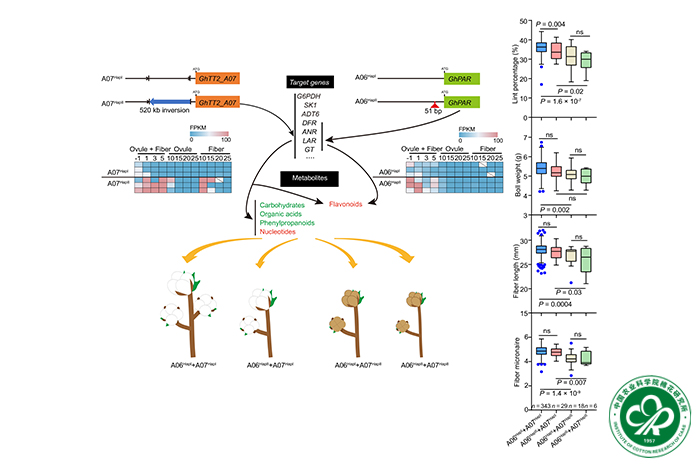 20fa67c9ee77eeeac097b7a09b314e57.jpg 20fa67c9ee77eeeac097b7a09b314e57.jpg